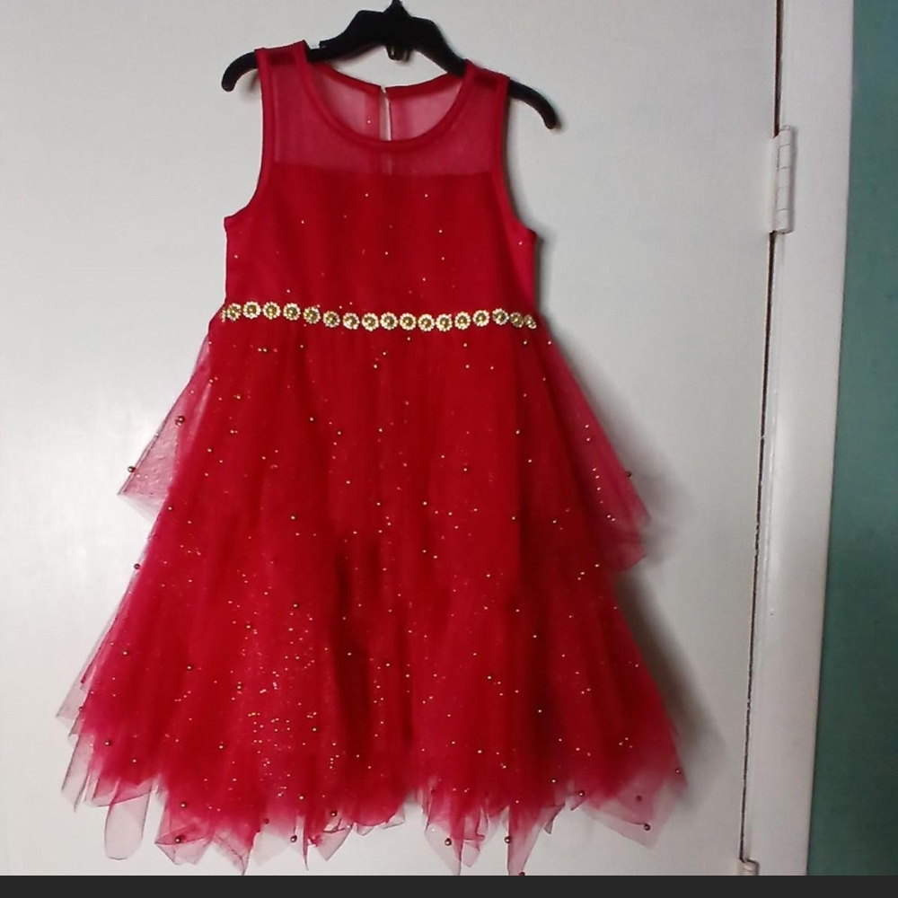 Red Sleeveless Tulle Dress with Gold Accents
